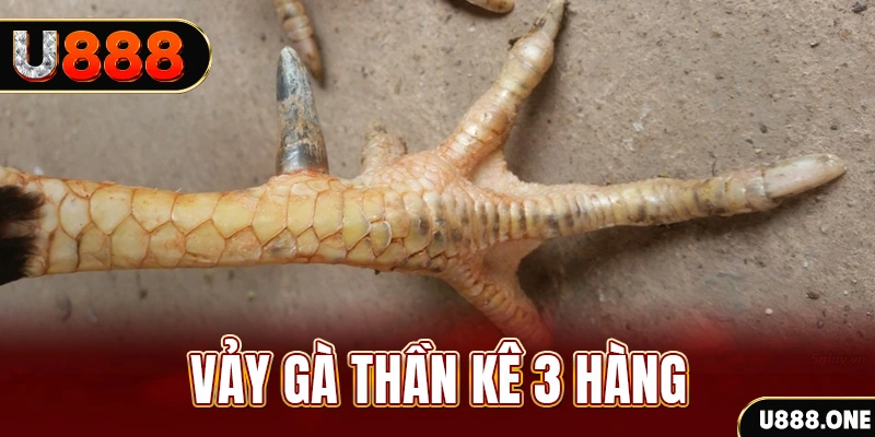 777 win nổ hũ đổi thưởng . ai