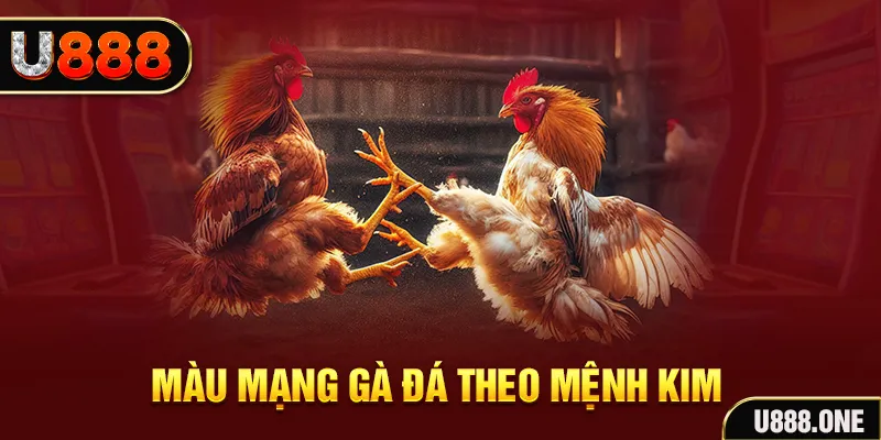 777 win gà chọi tiêu phong