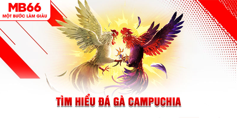 777 win tại sao không tải được nổ hũ
