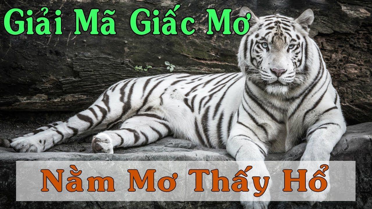 777 win xổ số miền trung