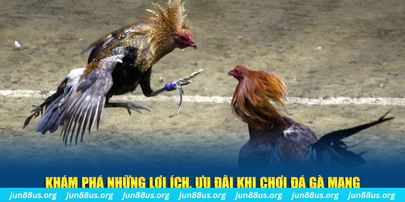 777 win Tài Xỉu 2