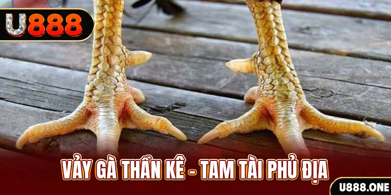 777 win xổ số 30 ngày