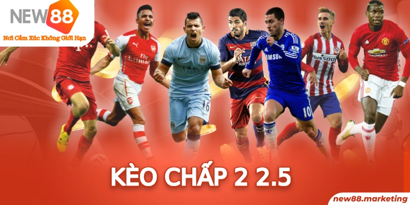 777 win trực tiếp đá gà thomo