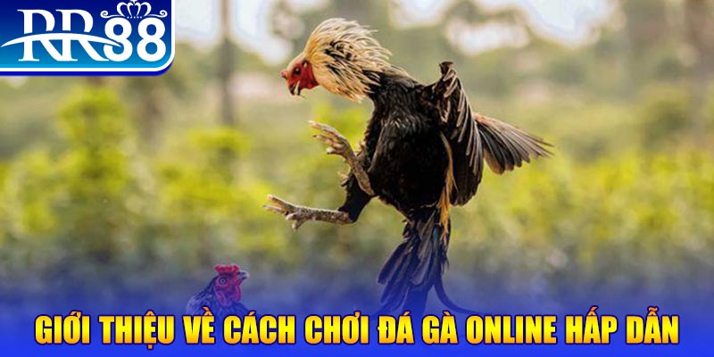 777 win nổ hũ 2 mặt là gì