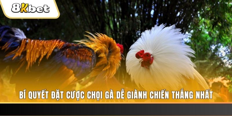 777 win may club nổ hũ
