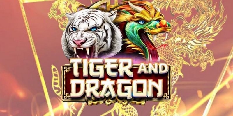 777 win cá cược tiếng anh là gì