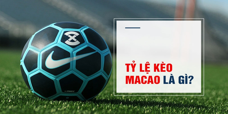777 win Trăm Knorr