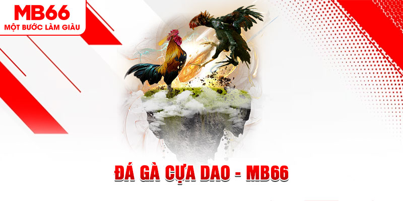 777 win xổ số miền bắc thứ năm hàng tuần